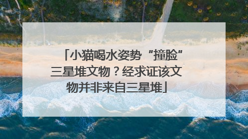 小猫喝水姿势“撞脸”三星堆文物？经求证该文物并非来自三星堆